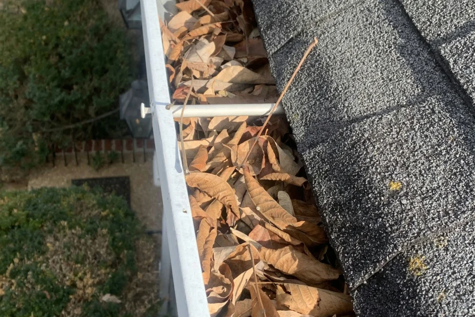 Gutter Cleaning Apex NC